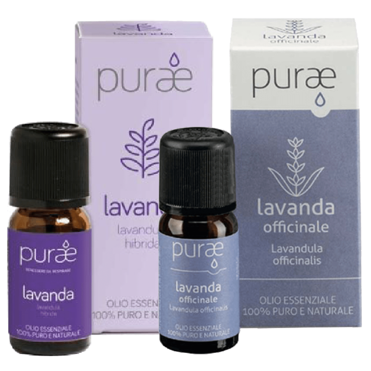 Farmacia Cipro next to you: lavanda